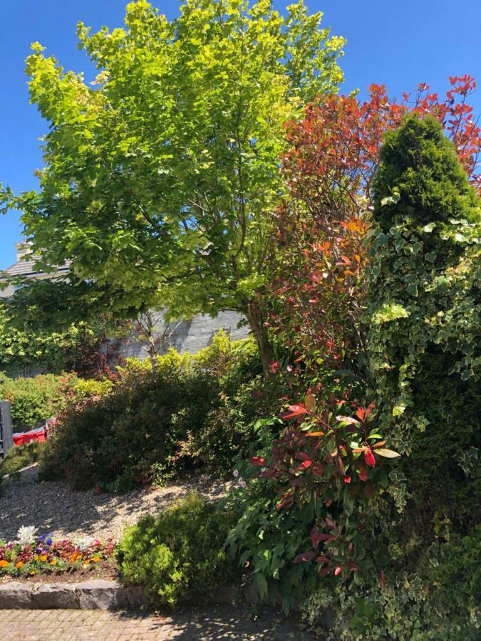 골웨이 Amber Hill B&B 외부 사진